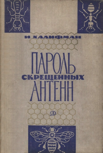 Пароль скрещенных антенн