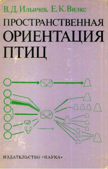 Пространственная ориентация птиц