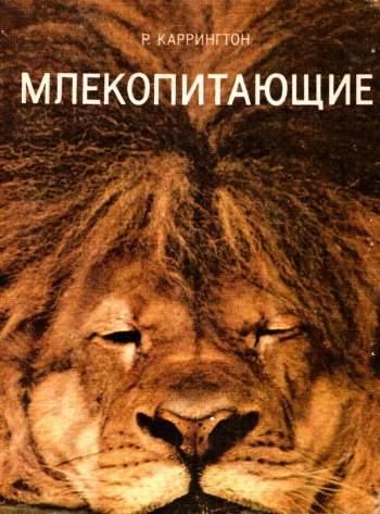 Млекопитающие