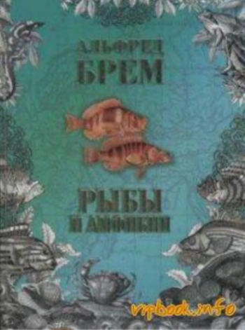 Жизнь животных. Рыбы и амфибии