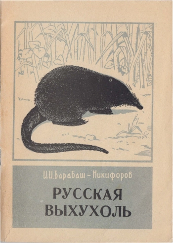 Русская выхухоль