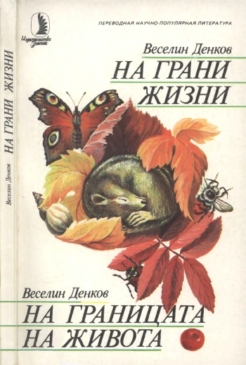 На грани жизни