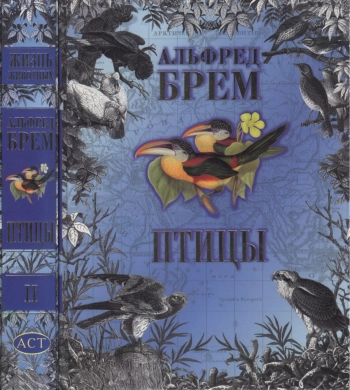 Жизнь животных. Птицы. В 2 томах. Том 2