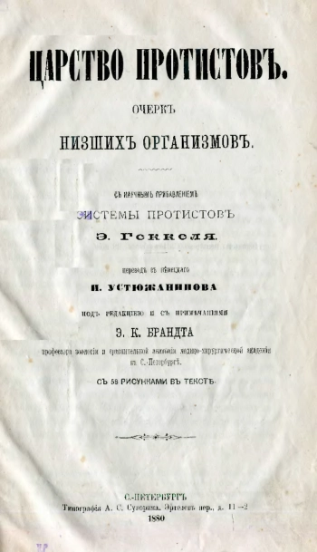 Царство протистов. Очерк низших организмов