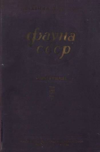Фауна СССР. Насекомые чешуекрылые. Т. XIII, вып. 3. Совки (подсем. Agrotinae)
