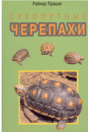 Сухопутные черепахи
