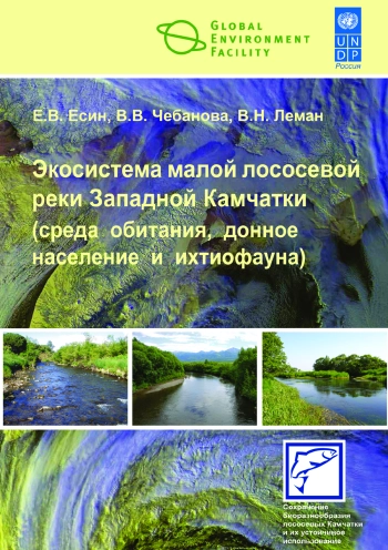 Экосистема малой лососевой реки Западной Камчатки