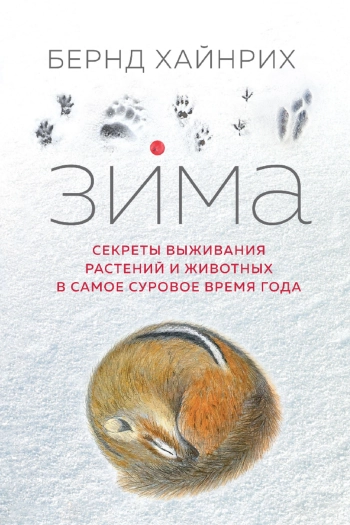Зима: Секреты выживания