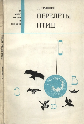 Перелеты птиц