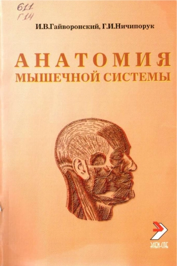 Анатомия мышечной системы (мышцы, фасции и топография). Учебное пособие