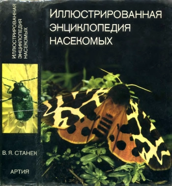 Иллюстрированная энциклопедия насекомых