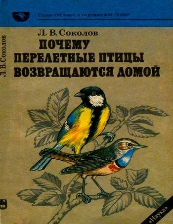 Почему перелётные птицы возвращаются домой