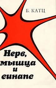 Нерв, мышца и синапс