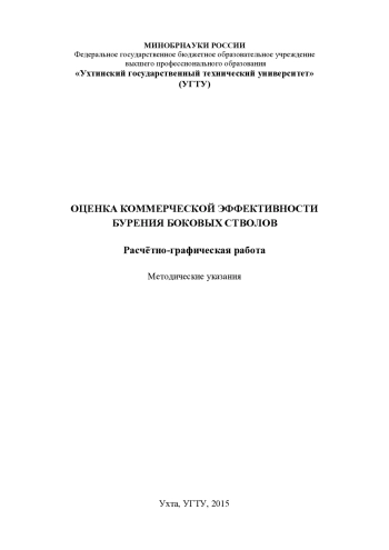 Оценка коммерческой эффективности бурения боковых стволов