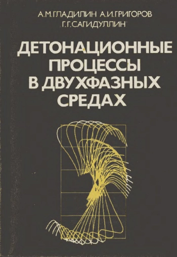 Детонационные процессы в двухфазных средах