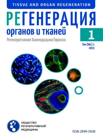 РЕГЕНЕРАЦИЯ ОРГАНОВ И ТКАНЕЙ