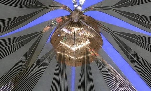 Ученые создали мягкое электронное устройство для записи активности 91 процента поверхности лабораторных мини-мозгов