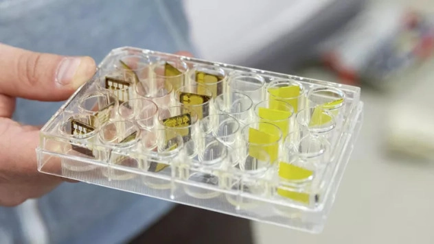 В России нашли ключ к созданию долговечных датчиков излучений